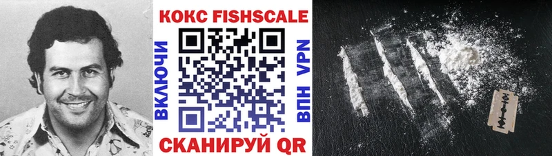 КОКАИН FishScale  Купить закладки  Кукмор 