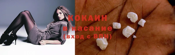 гашик Аркадак