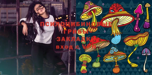 гашик Аркадак